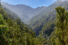 Levada do Caldeirão Verde, Madeira (09611).jpg