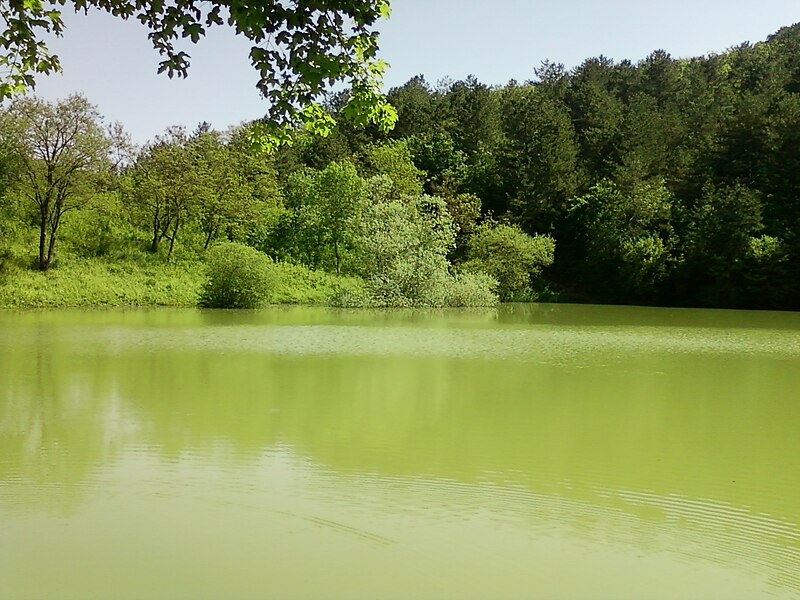 File:Limanskoye Lake - Sevastopol 07.jpg