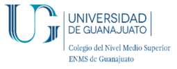 Logo ENMS-Guanajuato.png