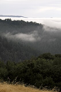 Long Ridge (San Mateo County, California) mountain in United States of America