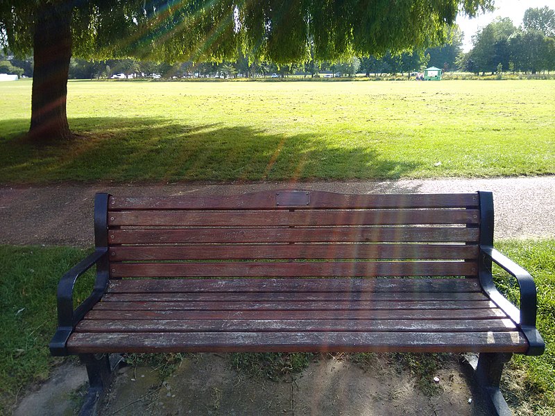 File:Long shot of the bench (OpenBenches 1775-1).jpg