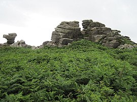 Blick von Norden auf Carn Kenidjack - geograph.org.uk - 1572518.jpg