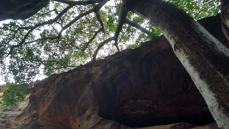 File:Macacos, Serra das Confusões, Tamboril do Piauí 03.jpg