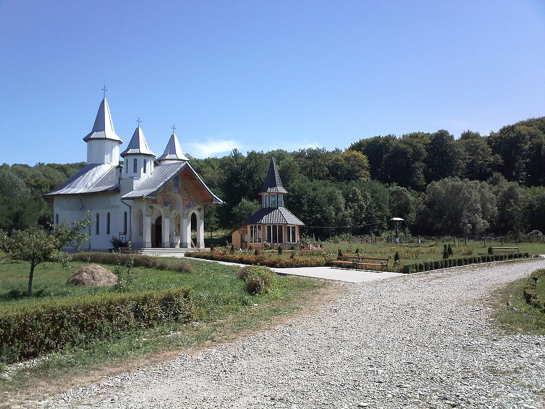 Bucium (lungsod sa Romaniya, Județul Brașov)