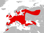 Mapa Myotis mystacinus.png