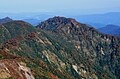 2010年10月20日 (水) 12:33時点における版のサムネイル