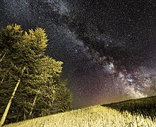 Milky Way Forest Allenwinden (Unsplash).jpg