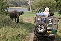 Ein Nationalpark ist normalerweise nicht eingezäunt. Hier im Nationalpark Minneriya in Sri Lanka.