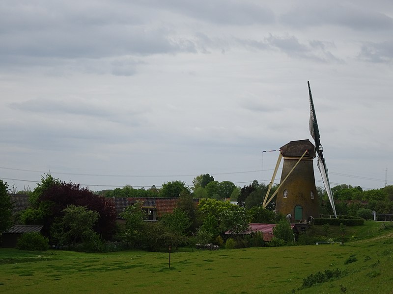 File:Molen De Lelie 3-5-19 - Flickr - Bas van Oorschot.jpg