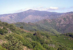 Fàcia èst del Mont Augal (Losera, França, 2006)