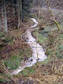 Muckenseebach.jpg