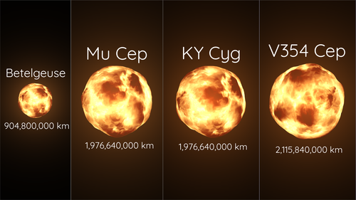 Size comparison of Betelgeuse, Mu Cephei, KY Cygni, and V354 Cephei, according to Emily Levesque
