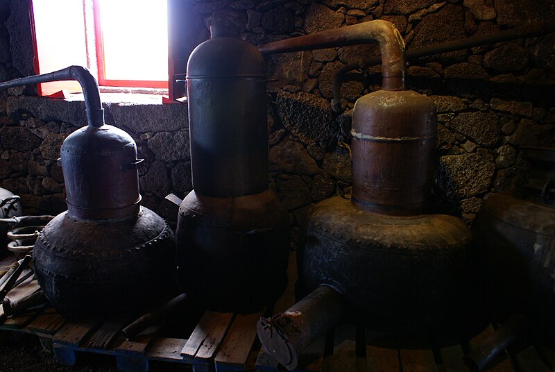 File:Museu do Vinho do Pico, 4 Lagido da Madalena, Concelho da Madalena, ilha do Pico, Açores, Portugal.JPG