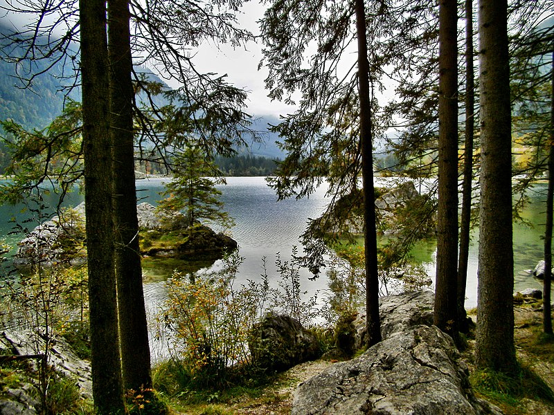 File:Nationalpark Berchtesgaden Zauberwald mit Hintersee - Bild 03.jpg