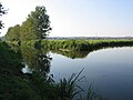 Mouth of the river Nuthe into the river Nieplitz