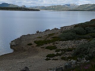 <span class="mw-page-title-main">Kalhovdfjorden</span> Lake in Telemark, Norway