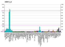 PBB GE GGA2 208914, fs.png'de