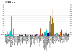 PBB GE SYPL1 201259 s در fs.png