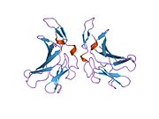 1e6f​: Ljudski MIR-receptor, ponavljanje 11