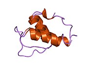 1gjj: N-terminalni konstantni region proteina omotača jedra LAP2