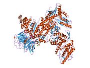 1tyq: ساختار کریستالی کمپلکس Arp2/3 با ATP و کلسیم متصل شده