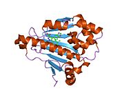 PDB 1yc1 EBI.jpg