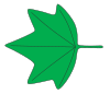 Glossary Of Leaf Morphology