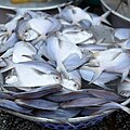 Silver pomfret at a market