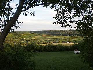 Sot, Šid Village in Vojvodina, Serbia