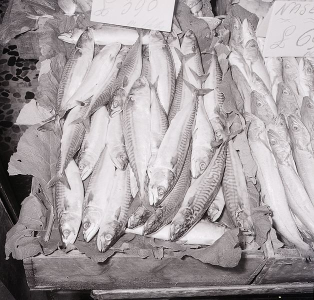 File:Paolo Monti - Serie fotografica - BEIC 6364387.jpg