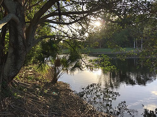 Sunset on the lake, Parque Placido, Boca Del Mar, FL