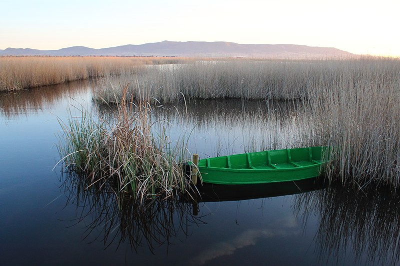 File:Parque nacional de las Tablas de Daimiel 12.jpg