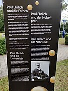 PaulEhrlich 2a.jpg