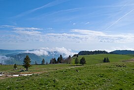 Paysage printanier au Creux-du-Van.jpg