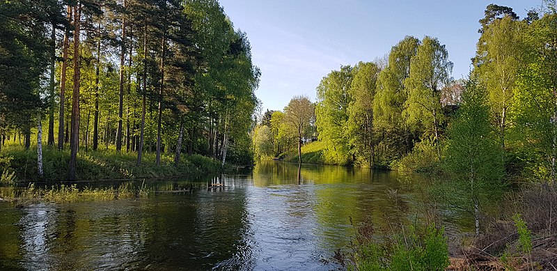 File:Petersøya og Søndra Park i flom 2018-05-15 07.41.16.jpg