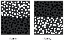 When these two frames flicker back and forth, the illusion of a horizontal phantom contour appears between the black and white dots. Images inspired by the Rodgers-Ramachandran and Ramachandran 1998 study stimuli. Phantom Contour.jpg