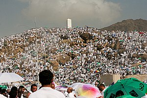 Pilgrims cover Arafat's roads, plains and mountain - Flickr - Al Jazeera English.jpg
