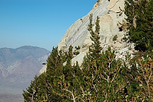 Lone Pine Lake, east slope of Mt Whitney, Sierra Nevada, California