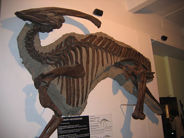 Lambeosaurinae