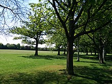 Playing fields Playing fields 2014-05-04 13-02.jpg