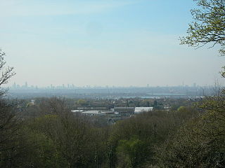 <span class="mw-page-title-main">Pole Hill</span> Hill in Chingford, East London