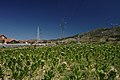 Čeština: Tabákové pole nedaleko města Prilep, Makedonie English: A tobacco field near the town of Prilep, Macedonia Српски / srpski: Дуванско поље близу Прилепа