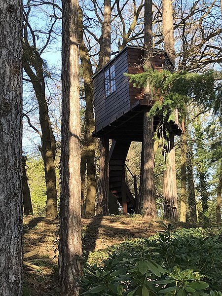 File:Proper tree house.jpg