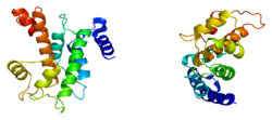 Ақуыз CAPNS1 PDB 1aj5.png