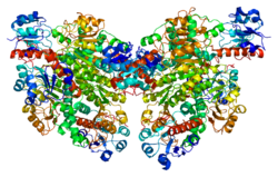 Ақуыз CTBP2 PDB 2ome.png