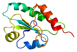 Protein TXNDC5 PDB 2diz.png