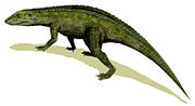 Miniatura para Protosuchus