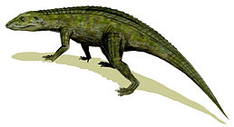Protosuchus[en]