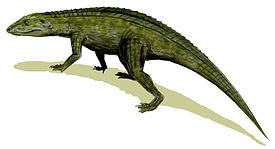 Реконструкция Protosuchus richardsoni