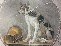 Mosaico tolemaico con cane e vaso da vino "askos" del Egitto tolemaico, datato 200-150 a.C:, Museo greco-romano di Alessandria d'Egitto